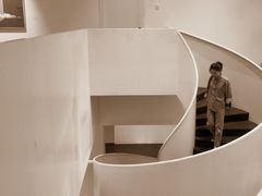 -威狮国际艺术中心(鑫苑B区店)