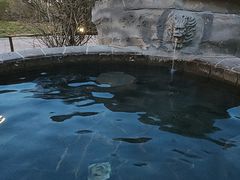 -青岛海泉湾度假区温泉