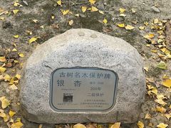 -上海青龙寺