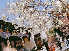 -护国法轮寺