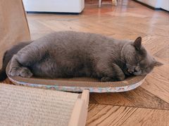 -Me Coffee下午茶艺术空间