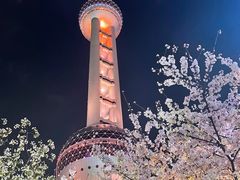 -东方明珠广播电视塔