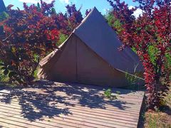 -TIPPI营地 房车主题·露营烧烤团建轰趴(天安假日店)