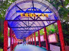 -广州长隆国际大马戏