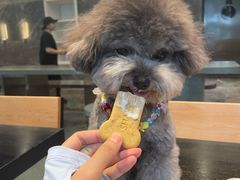 -Shake Shack(南山万象天地店)