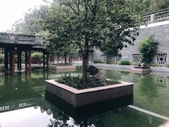 -广州神农草堂中医药博物馆
