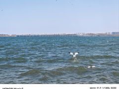 -丁香湖公园