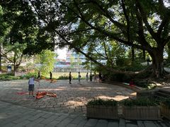 -成都市活水公园