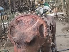 -呀路古热带植物园