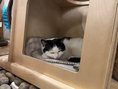 -么么咖啡(燕郊店)