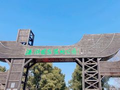 -溱湖国家湿地公园