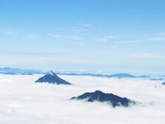 -妙道山国家森林公园