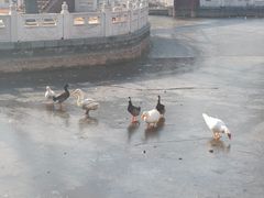 -丰台花园
