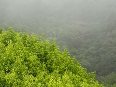 -终南山古楼观历史文化景区