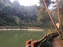 -铁山坪森林公园