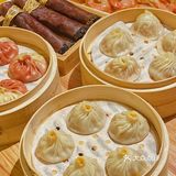 黑色的鸽子你有吃过嘛？