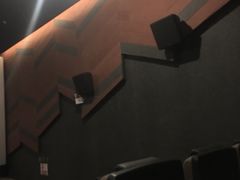 -汉阳天河电影城(王家湾店)