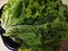 生菜-玲姐吉祥齐市烤肉