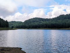 -大浪坝森林公园