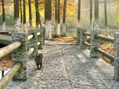 -长广溪湿地公园