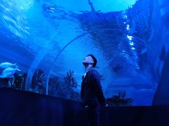 -成都浩海立方海洋公园