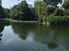 -雨湖公园