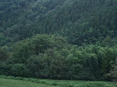 -敬亭山风景名胜区