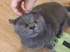 -小时光咖啡馆(开森度假森林店)