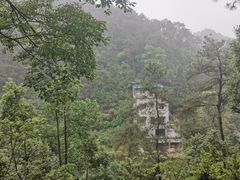-南山植物园