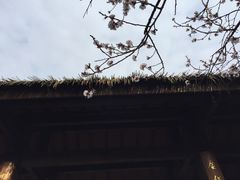 景点-秀丽东方