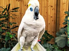 -南宫五洲植物乐园