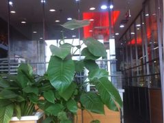 -面包新语(上地华联店)