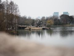 -尚贤河湿地