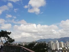 -金鸡山公园
