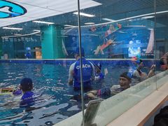 -Swim斯卫姆国际儿童游泳中心(红博中央公园店)