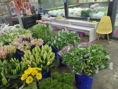 -三圣花乡旅游区