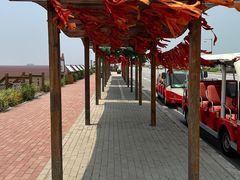 -红海滩国家风景廊道