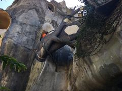 -疯狂屋