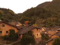 -杨家堂村