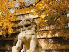 -北京石刻艺术博物馆(五塔寺)