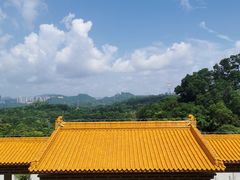 -深圳仙湖植物园-停车场