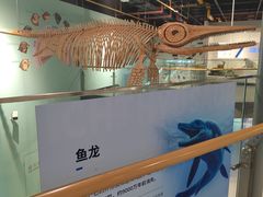 -山东省科技馆(新馆)