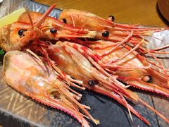 -千代武日本料理(爱建店)