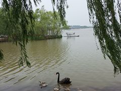 -白洋淀景区