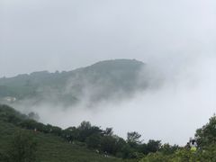 -北京鹫峰国家森林公园