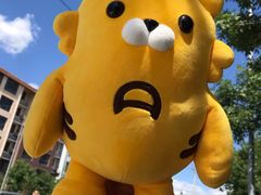 -金港秋名山·双层卡丁车场