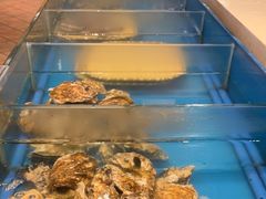 -火舞泰·泰式海鲜火锅餐厅(世纪城店)