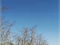 -杭州西湖风景名胜区-北街寻梦