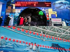 -蓬莱欧乐堡海洋极地世界