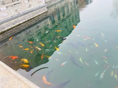 -芙蓉街-王府池子